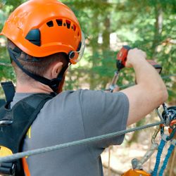Tree-Mendous Aerial Adventures