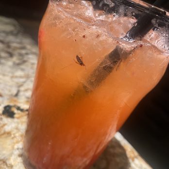 Cheddar's Scratch Kitchen - American Near Me - Webster, Texas