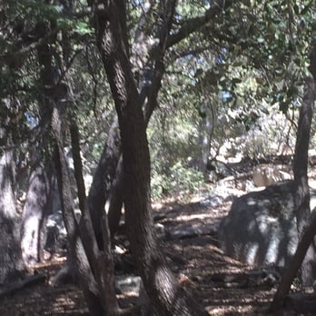 Thousand Trails - View from my camper window - Campgrounds Near Me - Idyllwild, California Thousand Trails - View from my camper window - Campgrounds Near Me - Idyllwild, California