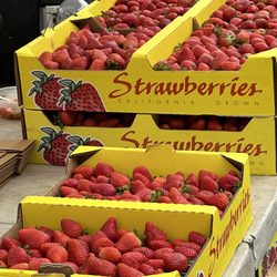 Yummy Strawberries