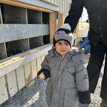 Old Windmill Farm - Toddler holding an egg - Attraction Farms Near Me - Ronks, Pennsylvania