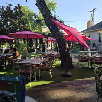 Paradiso - Bars Near Me - Dallas, Texas