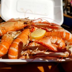 The Seafood Shack