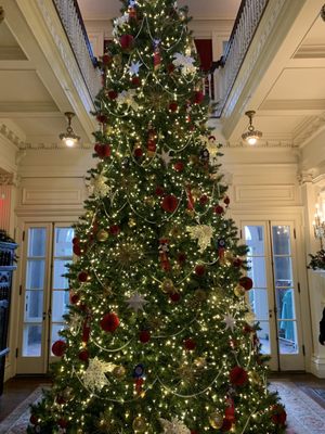 Blithewold Manor, Gardens & Arboretum by null