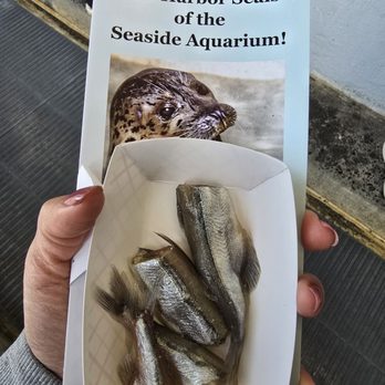 Seaside Aquarium - Aquariums Near Me - Seaside, Oregon