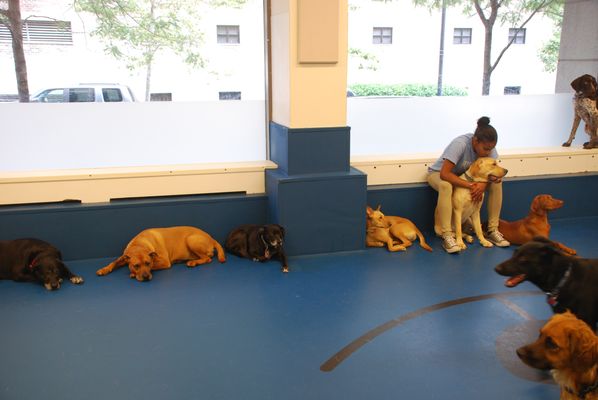 Biscuits & Bath - Riverside Blvd by null