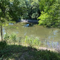 Des Plaines River Trail and Greenway