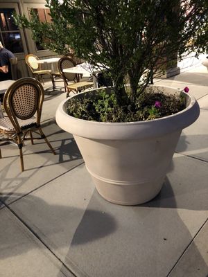 Market Bistro by null