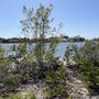 Photo of Jupiter Ridge Natural Area