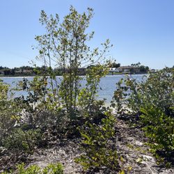Jupiter Ridge Natural Area - Path to the beach