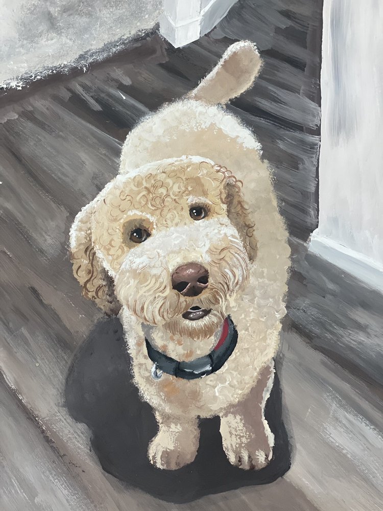 Drops of Rainbow Fine Art School Logo