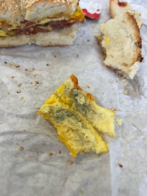 Grateful Bagel by null