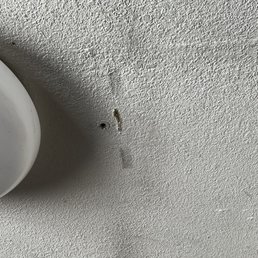 Supposed "termite activity".
