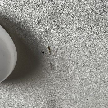 Moxie Pest Control - Phoenix - Supposed "termite activity". - Pest Control Near Me - Phoenix, Arizona