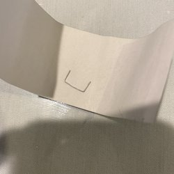 Fortuna Inn - Staple found in my broccoli chicken...