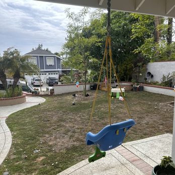 Green Plus Landscaping - Old lawn and broken sprinkler system - Tree Services Near Me
