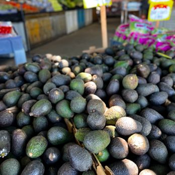 Windmill Farms - 10 for $1 small avocados - Grocery Near Me - San Ramon, California