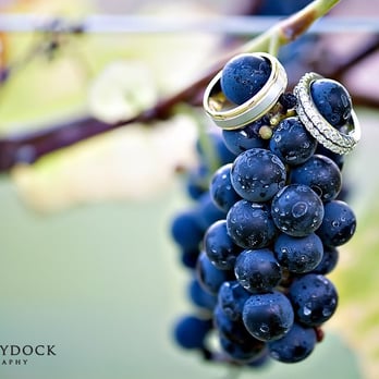 Zorvino Vineyards - Wedding pictures at Zorvino Vineyard by Leah Haydock Photography www.LeahHaydock.com - Wineries Near Me - Sandown, New Hampshire
