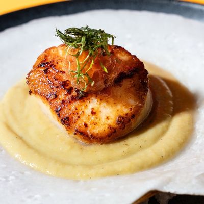 MISO Japanese Tapas by null
