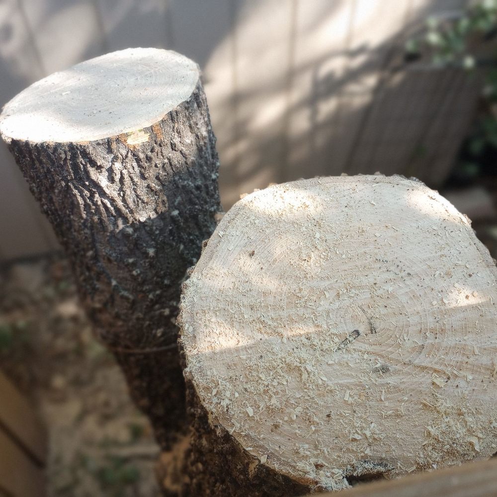 Supreme Tree Service - Tree Services Near Me Supreme Tree Service - Tree Services Near Me