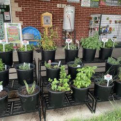 Wells Brothers - Customer herb garden is off to a good start