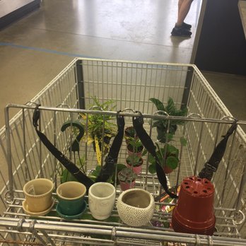 The Garden Factory - My cart - Nurseries & Gardening Near Me - Rochester, New York