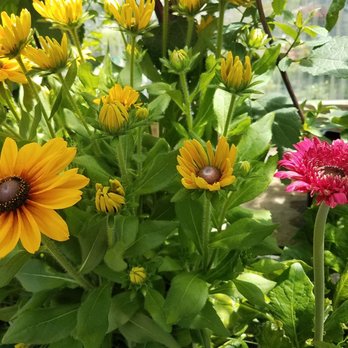 Coward Farms - Nurseries & Gardening Near Me - Southwick, Massachusetts