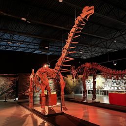 Main exhibit room - dinosaur replicas
