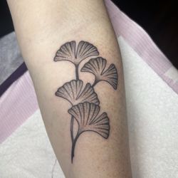 Noodles Tattoo Studio - Ginkgo leaves tattoo