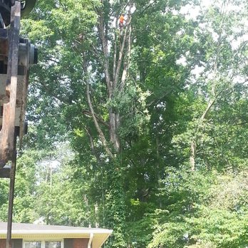 Total Tree Solutions - Firewood Near Me - McDonough, Georgia Total Tree Solutions - Firewood Near Me - McDonough, Georgia