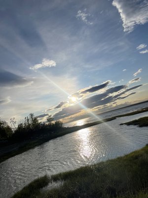 Tony Knowles Coastal Trail by null