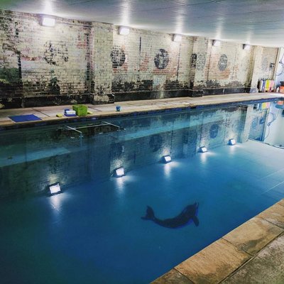Denver Divers and The Swim School of Denver by null