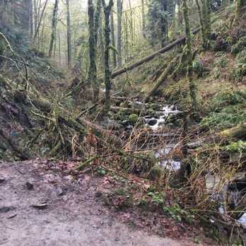 Macleay Park - Parks Near Me - Portland, Oregon