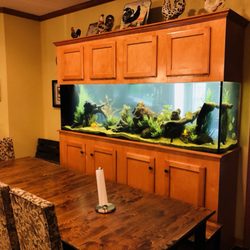 Captive Aquatic Ecosystems - Freshwater system