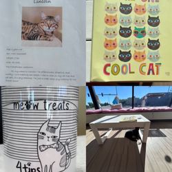 The Cattitude Cafe - Profiles of cats there