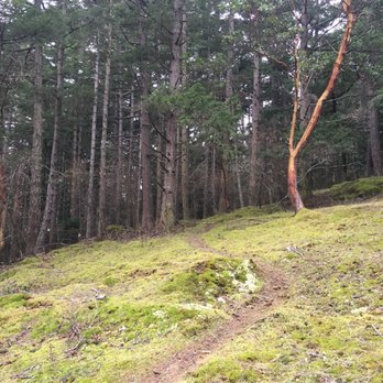 Obstruction Pass State Park - Trail - Parks Near Me