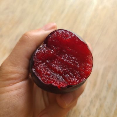 Le Marché Cezanne by null