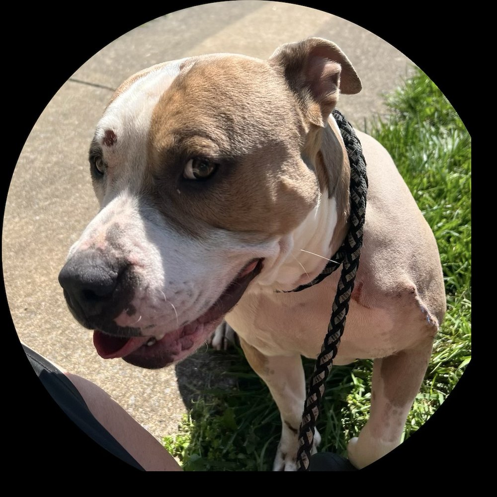 JEREMY N FRIENDS Updated June 2024 Request Information 43