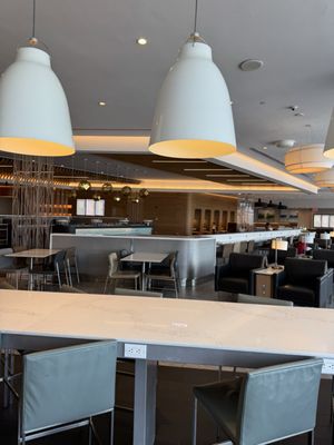 Greenwich Lounge JFK - British Airways & American by null