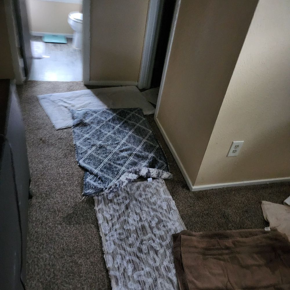 Invitation Homes - Rotten carpet - Property Management Near Me - Addison, Texas Invitation Homes - Rotten carpet - Property Management Near Me - Addison, Texas