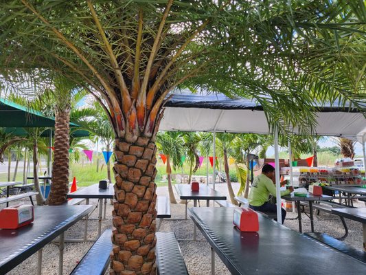 Taqueria 5 Hermanos Food Truck by null