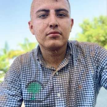 Zenobio Miguel Tree Service - Miguel Zenobio (562-536-8955) would rather dump junk in your yard than properly disposing of it. - Tree Services Near Me Zenobio Miguel Tree Service - Miguel Zenobio (562-536-8955) would rather dump junk in your yard than properly disposing of it. - Tree Services Near Me