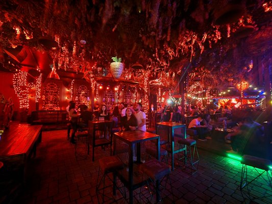 The Dirty Rabbit Wynwood by null