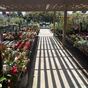 Armstrong Garden Centers - Nurseries & Gardening Near Me - San Diego, California Armstrong Garden Centers - Nurseries & Gardening Near Me - San Diego, California