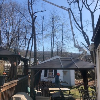 All Safe Tree Services - a man working on a tree - Landscaping Near Me - Nyack, New York