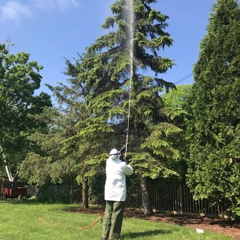 Wachtel Tree Science - Tree Services Near Me - Merton, Wisconsin Wachtel Tree Science - Tree Services Near Me - Merton, Wisconsin