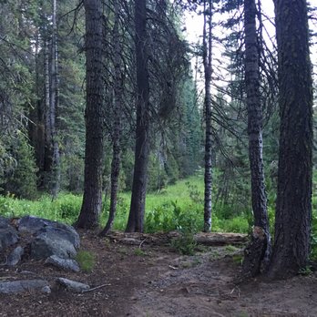 Crane Flat Campground - Next to meadow - Campgrounds Near Me - Tuolumne, California