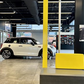 TOM BUSH MINI - Updated December 2025 - 33 Photos & 72 Reviews