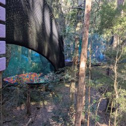 Tree Top Adventure Park