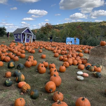 Apple Ridge Orchards - Pick Your Own Farms Near Me - Warwick, New York